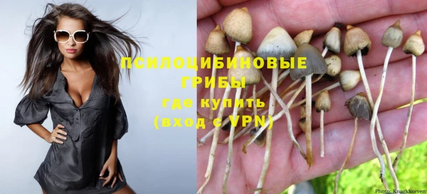 гашик Покачи