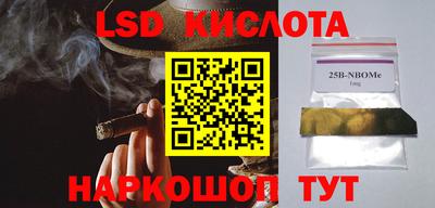 шишки Свободный
