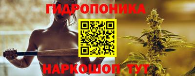шишки Свободный