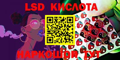 шишки Свободный