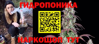 шишки Свободный