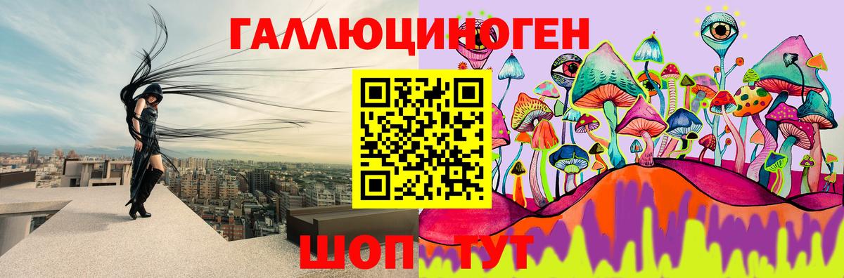 Псилоцибиновые грибы Psilocybe  Вход с VPN  Галлюциногенные грибы прущие грибы  Рославль 